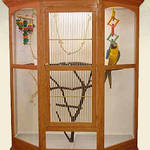 Large Acrylic Bird Cage