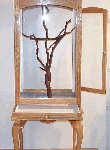Custom Acrylic Bird Cage Nobleman Front Door